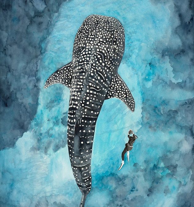 Whale Shark2