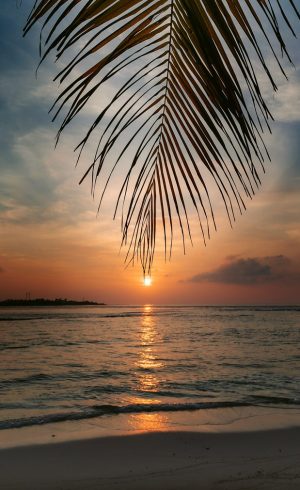 sunrise